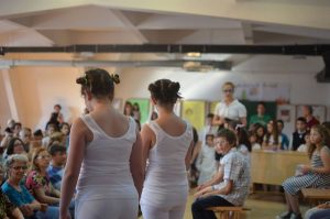 priredba_zemun_2014 (19)